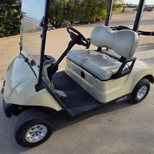 2018 Yamaha Electric Golf Cart- pick up in Perdue- more details to follow