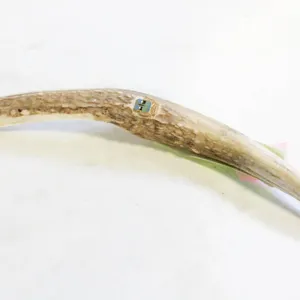 NATURAL DEER ANTLER LETTER OPENER