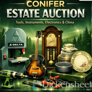 CONIFER - ESTATE- Tools, Instruments, Electronics, China and More