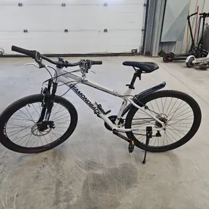 Silver Diamondback odyssey