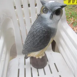 Owl Decoy