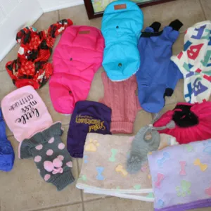 Pet Clothing & Blankets