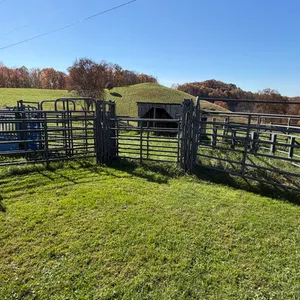 Priefert Cattle Working System with Sweep Tub, Alleyway & Sorting Gates