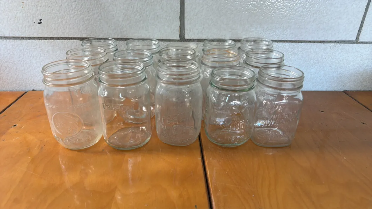 VARIETY OF SMALL AND PINT MASON JARS