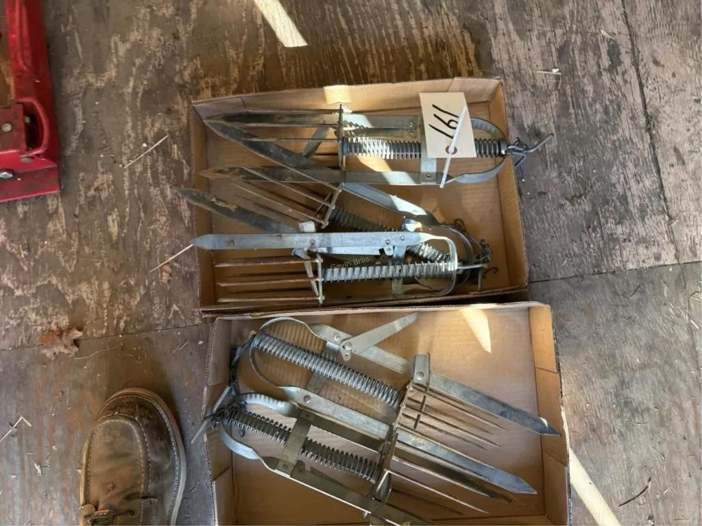 Mole Traps