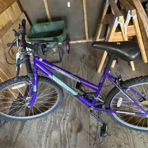 Roadmaster Mt Fury Bicycle