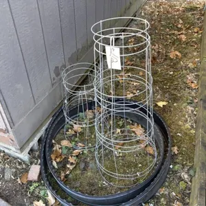 Tomato Cages
