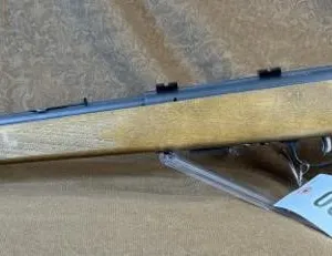 Savage Model 95 Bolt Action .22 WMR