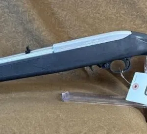 Ruger 10/22 .22 Semi Automatic